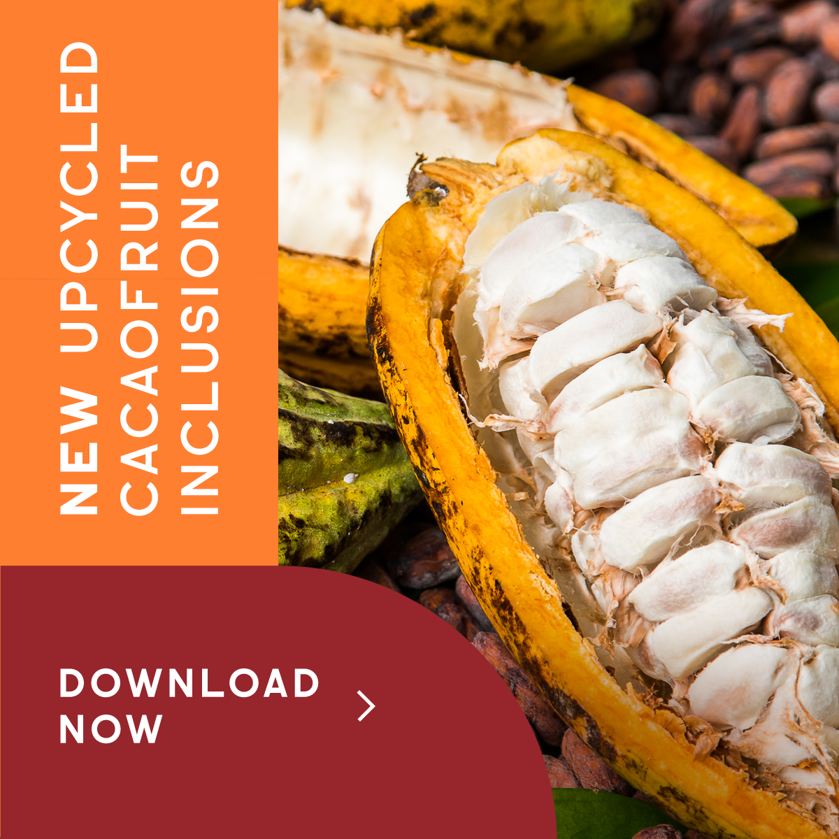 Cacao Fruit Unique zesty fruity flavor & low waste